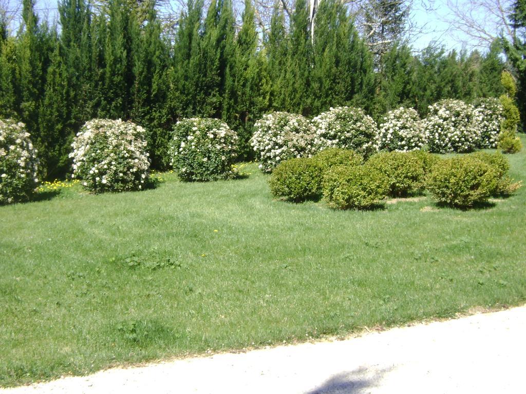 エクス＝アン＝プロヴァンス Bastide Des Lauvesヴィラ エクステリア 写真